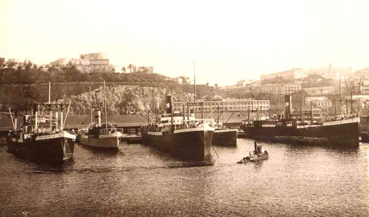 PO e- 243.jpg